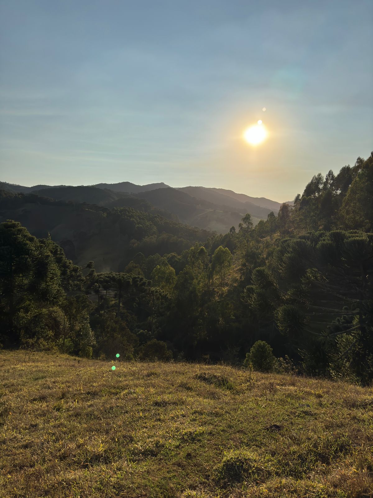 Linda Fazenda de 55,6 Hectares-Vista Maravilhosa-Terra Boa e Rica em Água/Delfim Moreira-Sul de MG