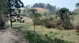 Um Lugar de Beleza Incrível!!! Excelente Chácara de 15.000m2 em Delfim Moreira-MG