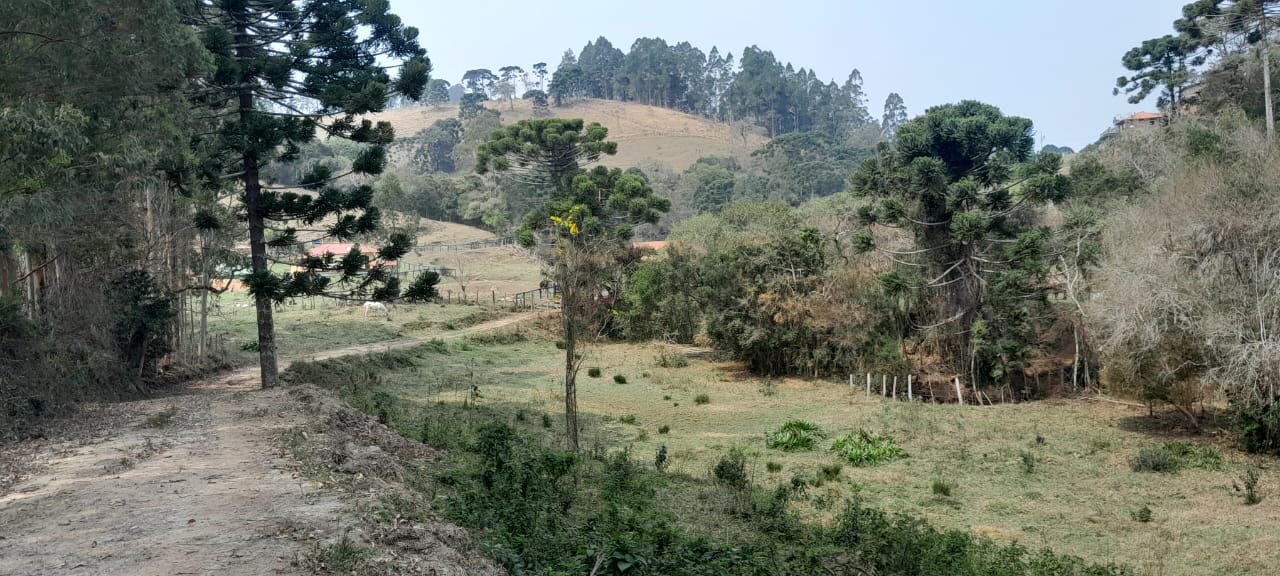 Um Lugar de Beleza Incrível!!! Excelente Chácara de 15.000m2 em Delfim Moreira-MG