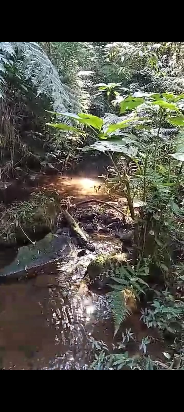 Um Refúgio de Paz e Harmonia na Serra da Mantiqueira! Chácara de 10,1578 Hectares em Marmelópolis, Sul de Minas Gerais