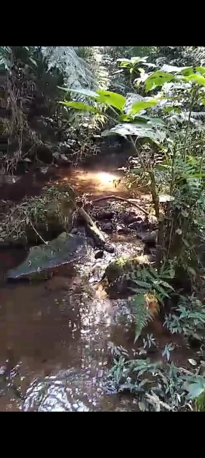  Um Refúgio Lindo na Serra da Mantiqueira! Chácara de 10,1578 Hectares em Marmelópolis, Sul de Minas Gerais